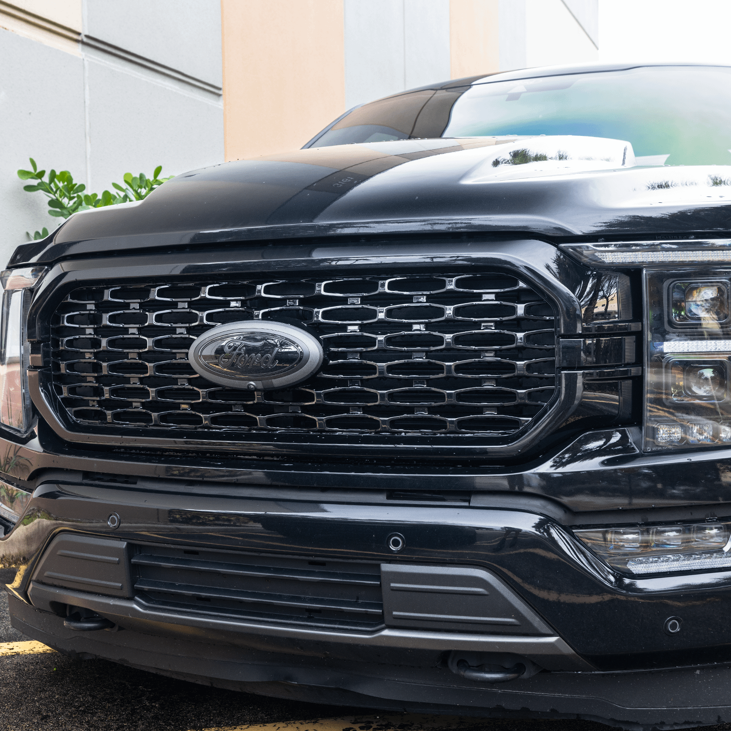 F150 Stx Grille
