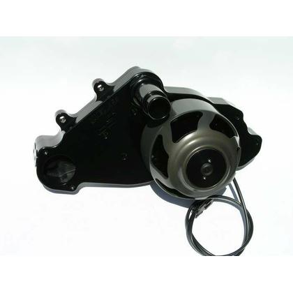Meziere LS1 Through LS8 Electric Water Pump (Black)